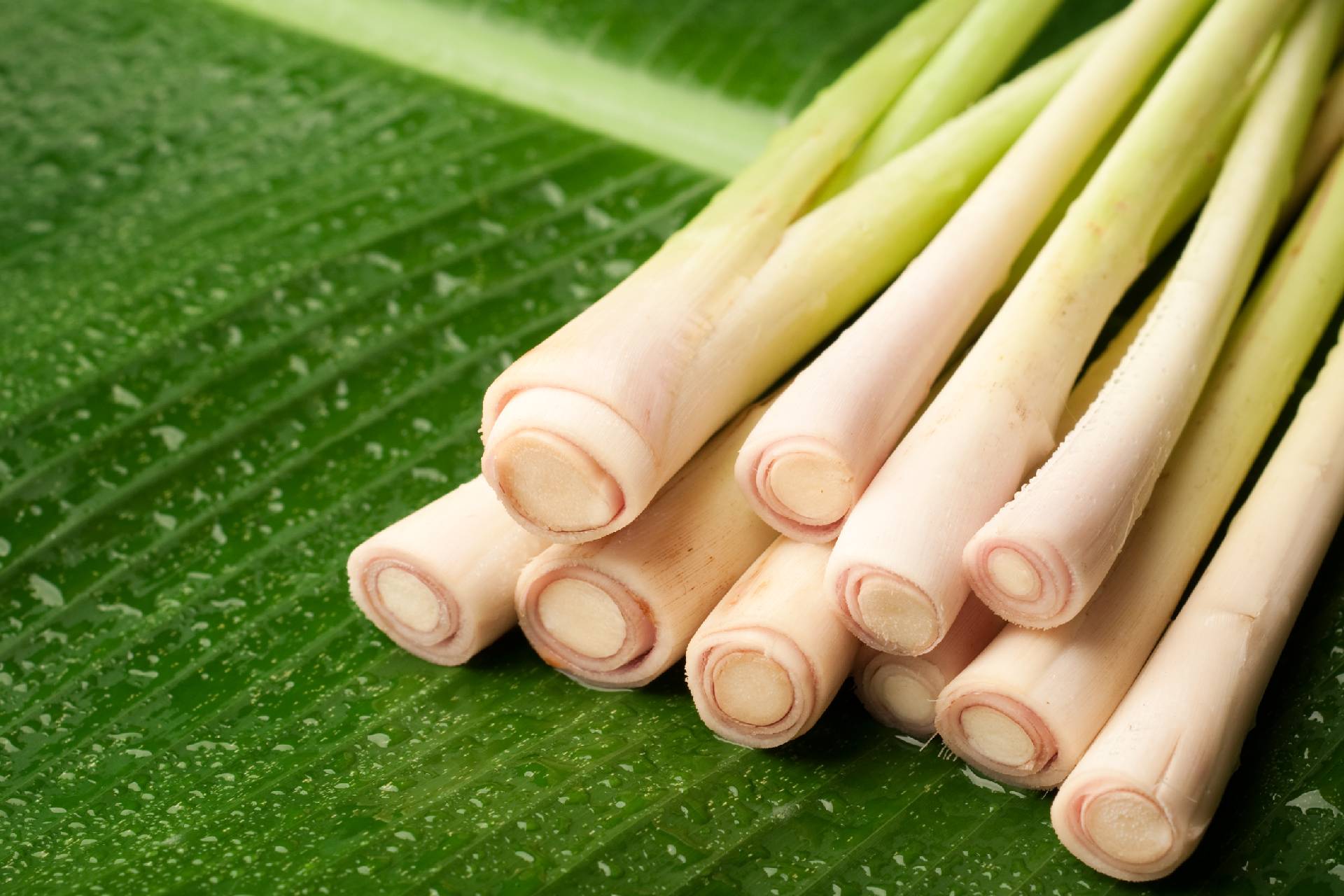 lemongrass©iStock